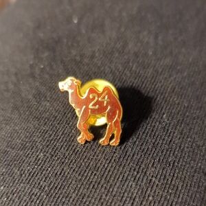 24 Hour Sobriety Lapel Pin AA